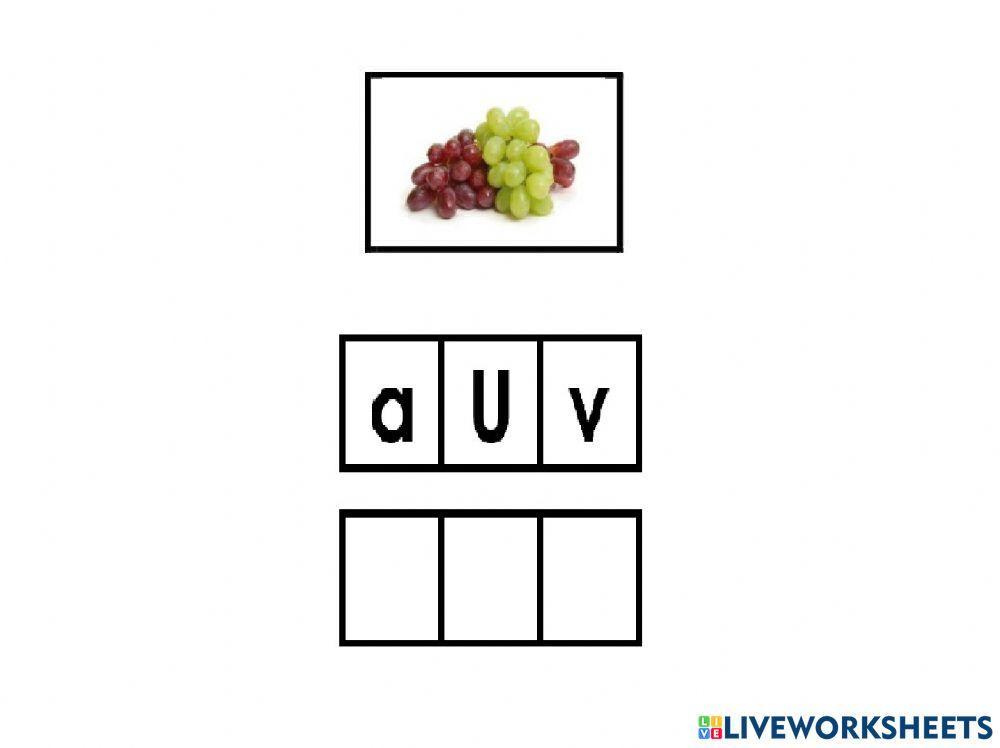 Leo - Ordenar letras de palabras - Escribir -A