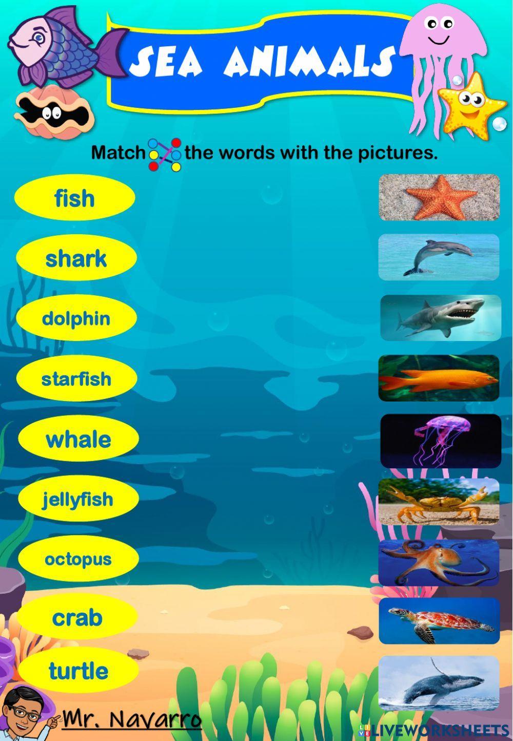 Sea Animals (Match the words with the pictures) Sea Animals (Match the words with the pictures)