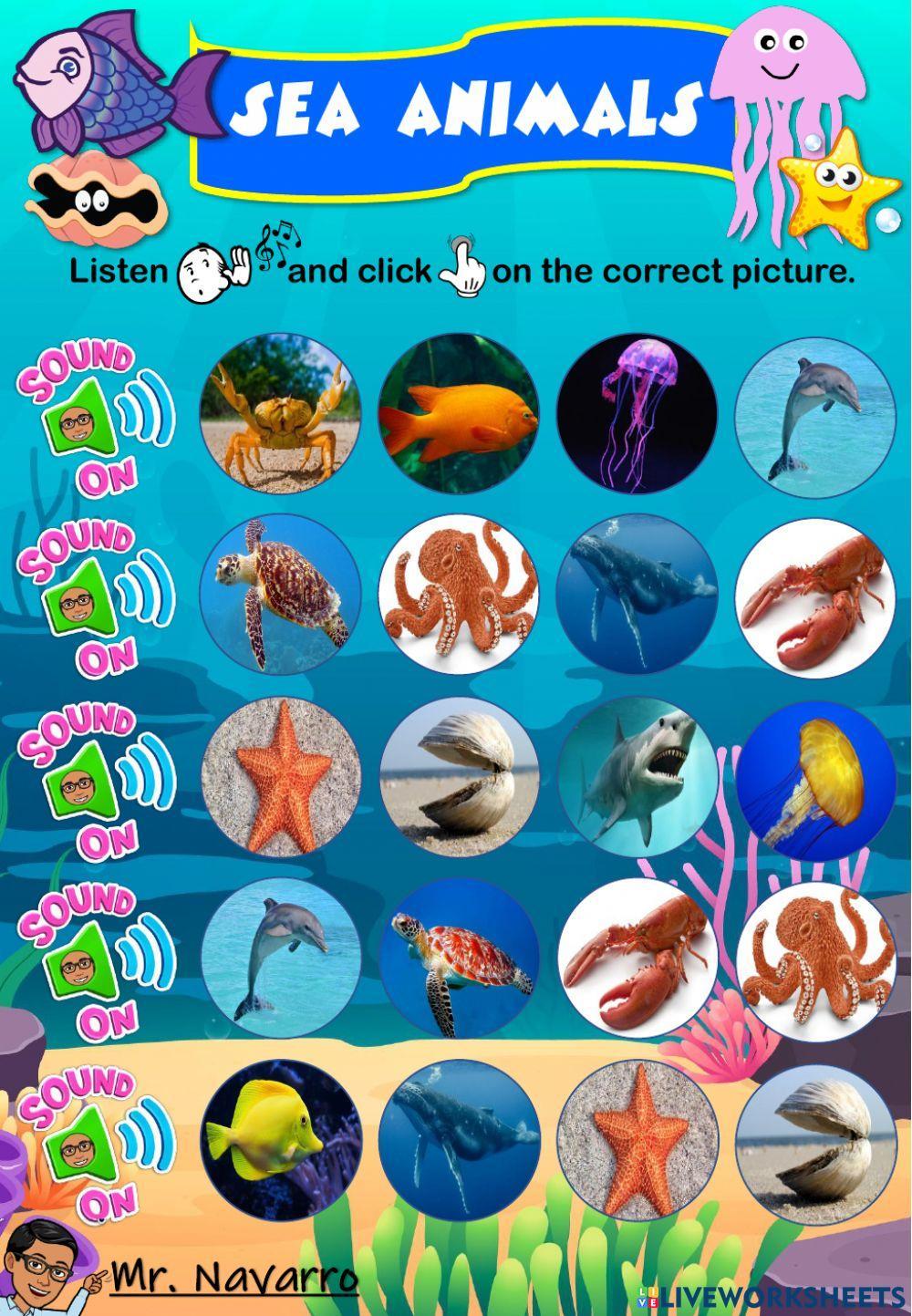 Sea Animals (Listen and click)