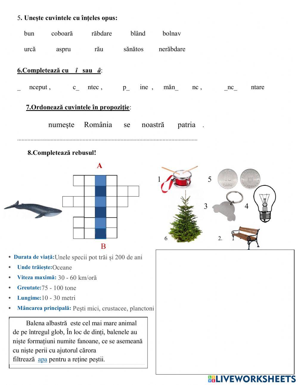 Recapitulare literele a-b