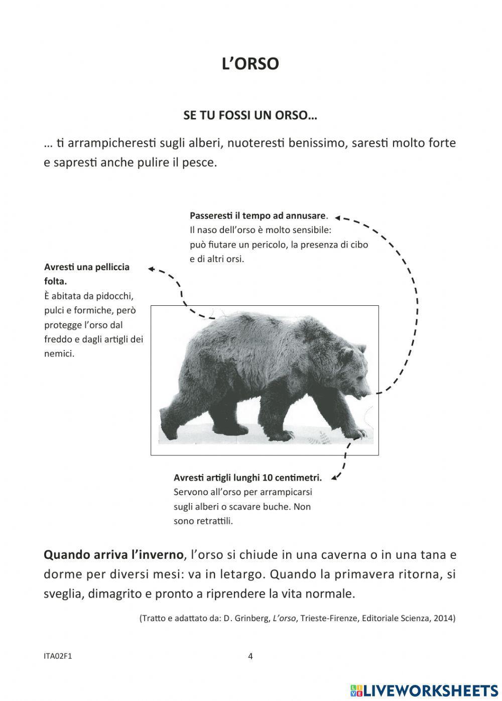 Prova di lettura Invalsi 2018-2019