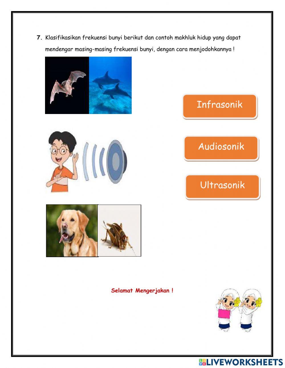 LKPD Percobaan Gelombang Bunyi