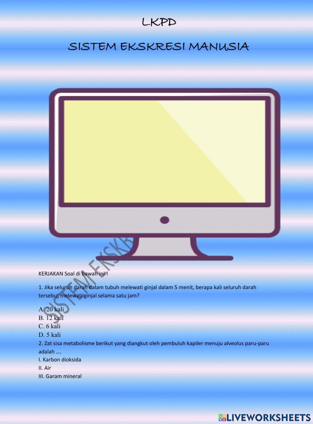 Sistem ekskresi manusia