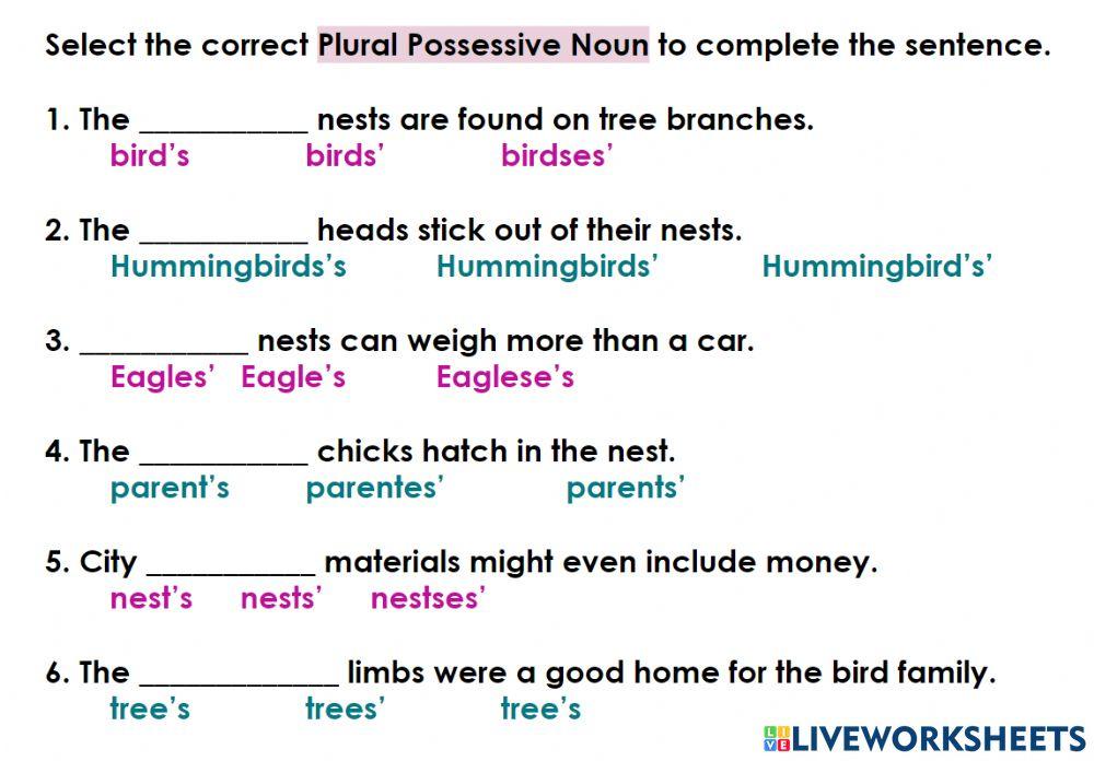 Plural Possessive Noun