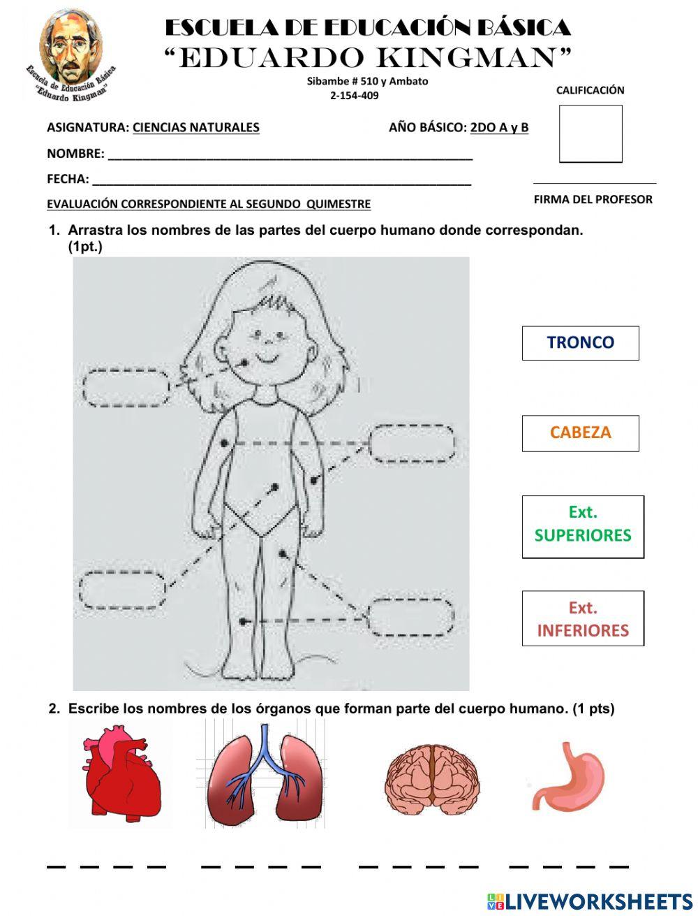 Evaluacion de Ciencias Naturales