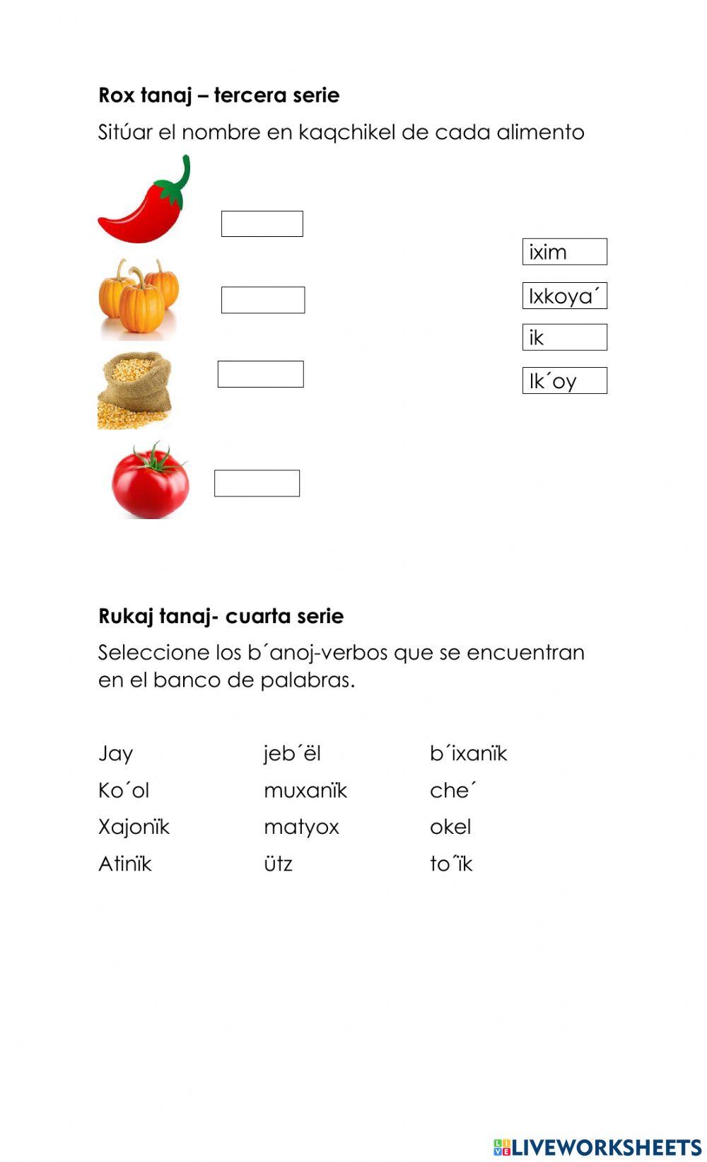 segundo básico prueba corta 1