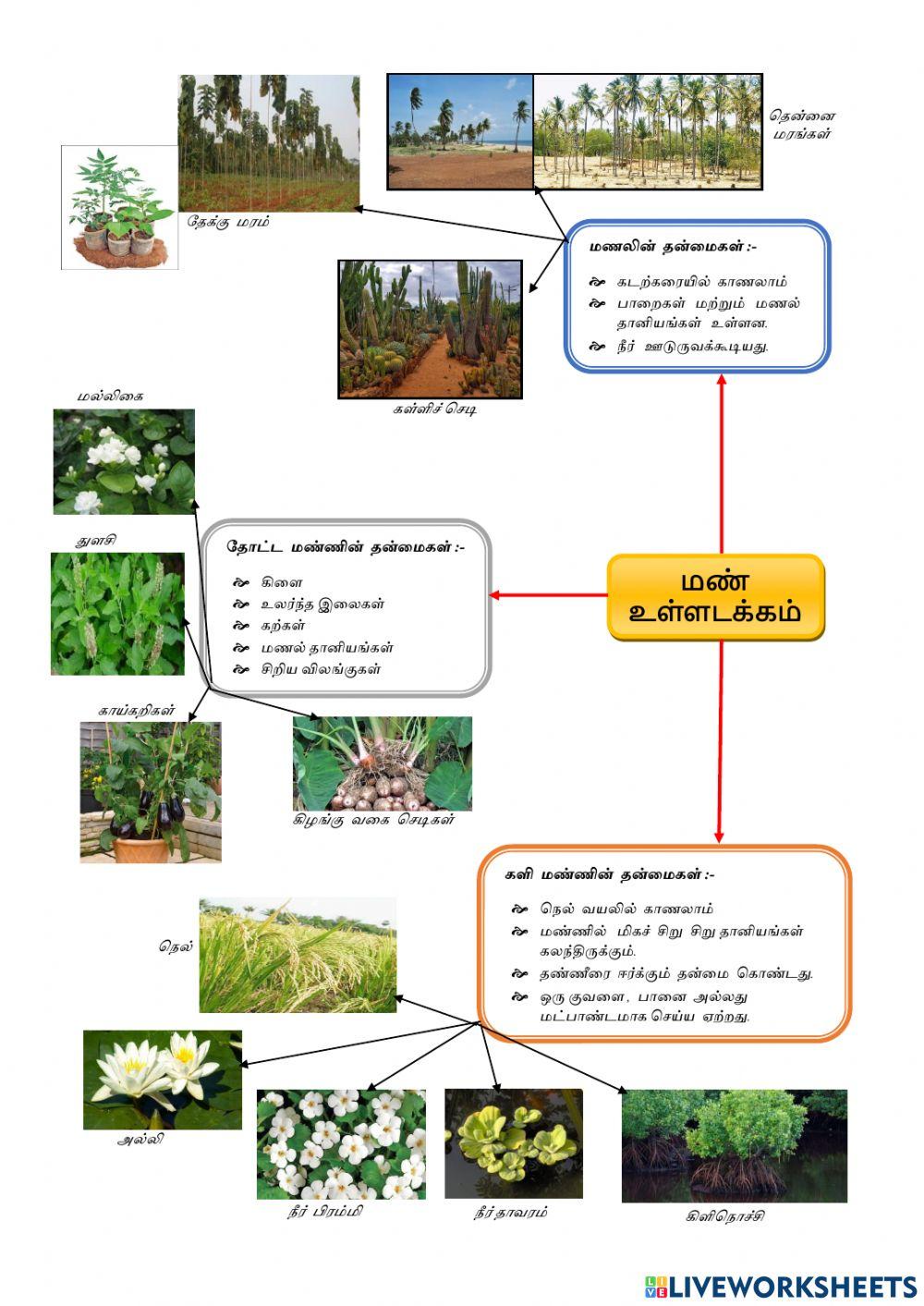 பூமியின்  மேற்பரப்பு