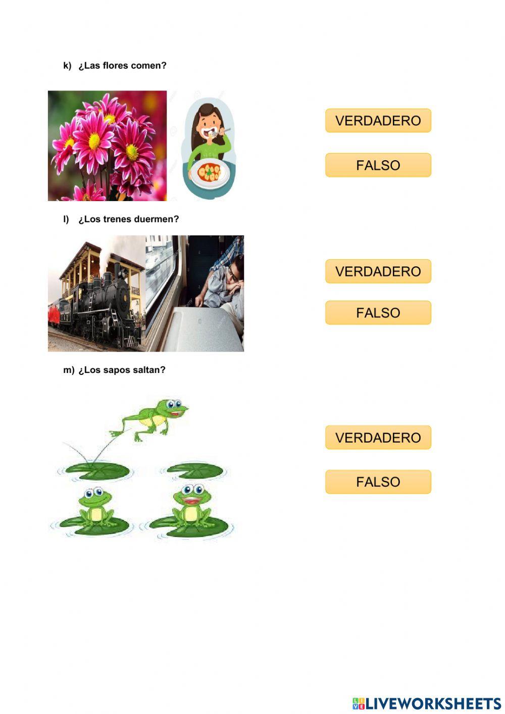 Área receptiva auditiva y asociación