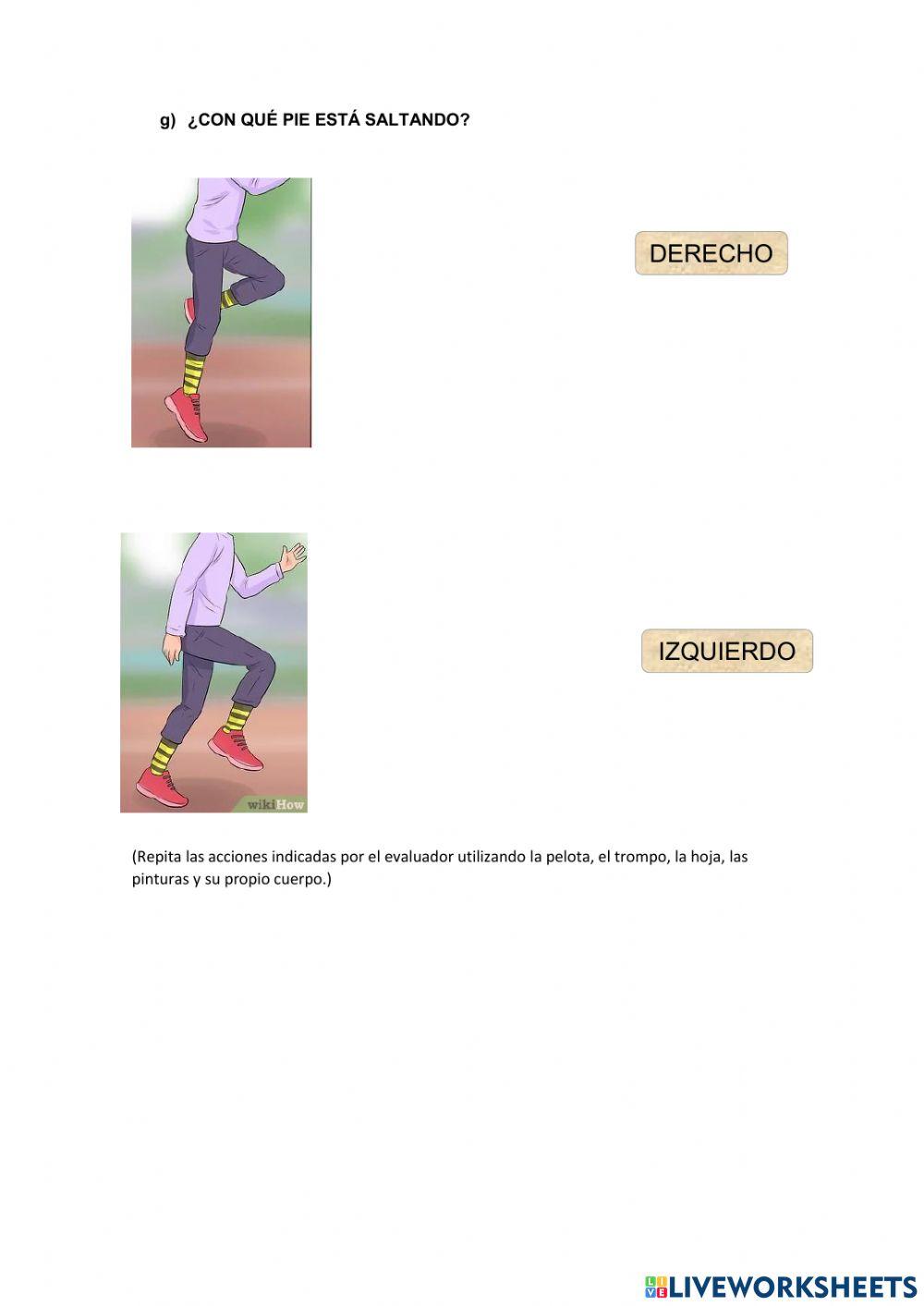 Lateralidad y área receptivo visual