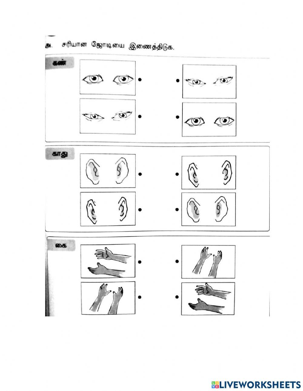 மனிதன் ஆண்டு 2  ஆக்க்ம் மு.சாந்தினி