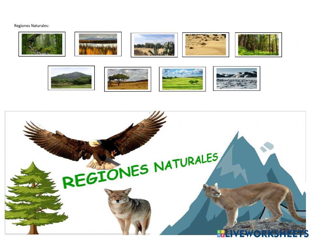 Regiones naturales