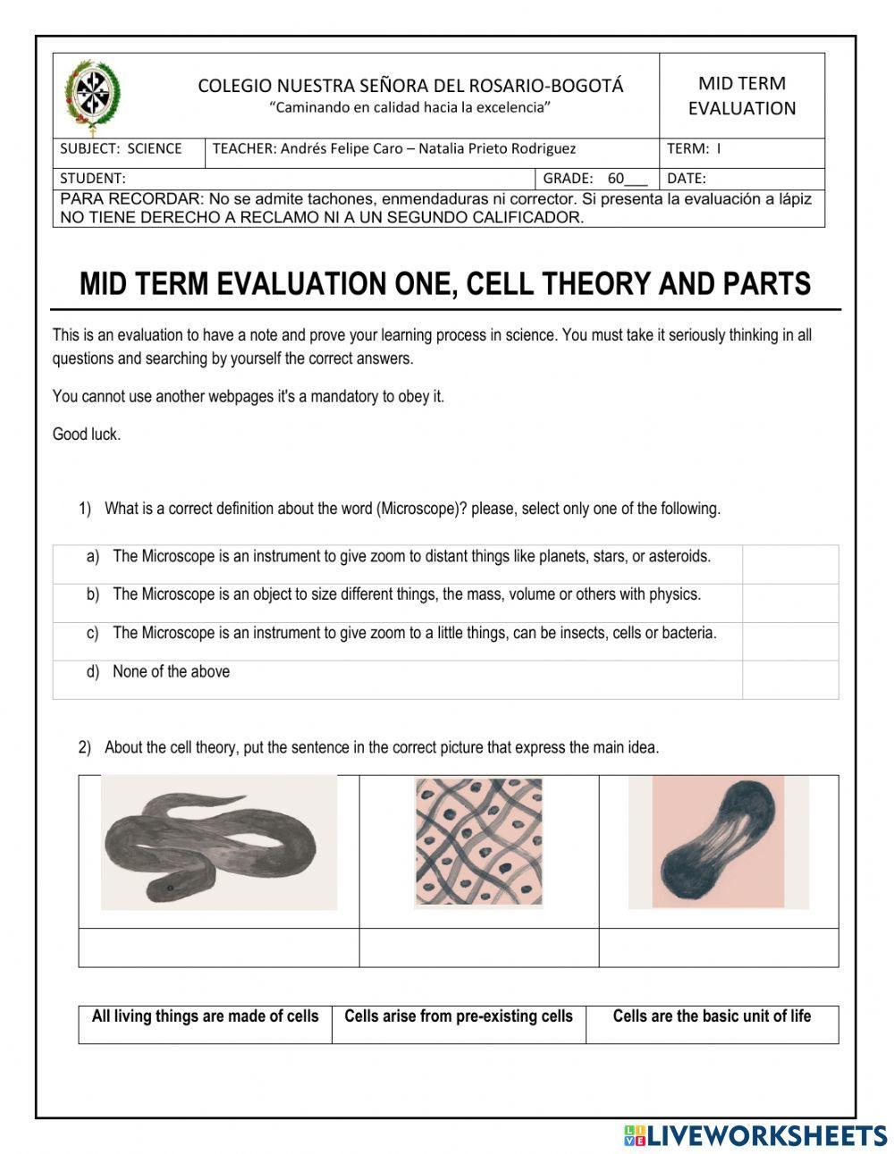 Mid Term Evaluation First Term Six Grade