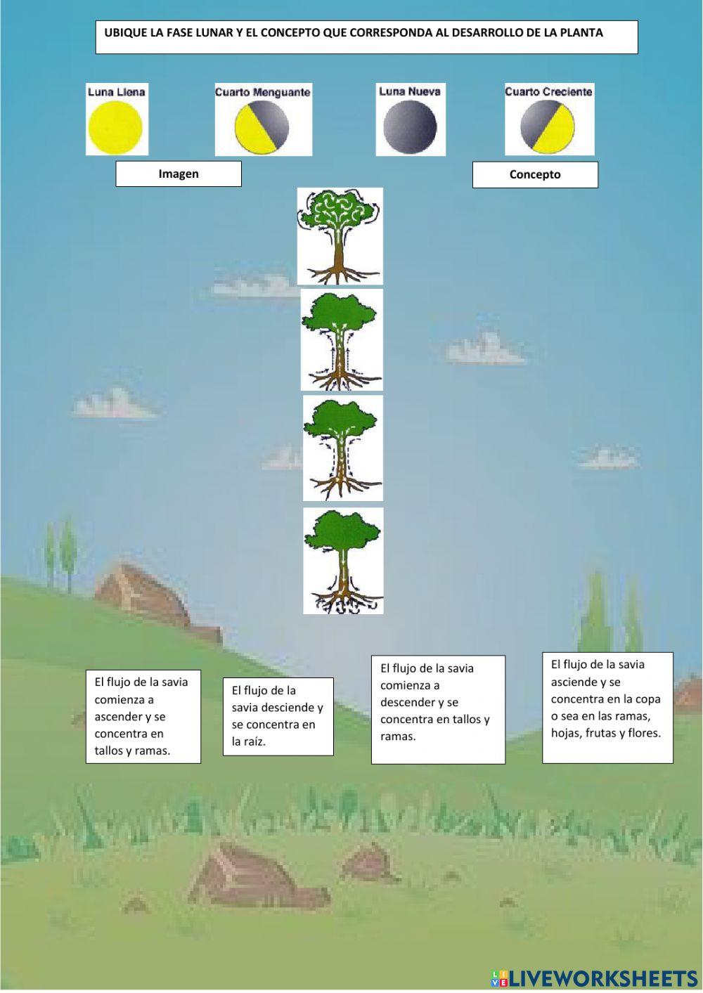 Influencia de los astros en la agricultura