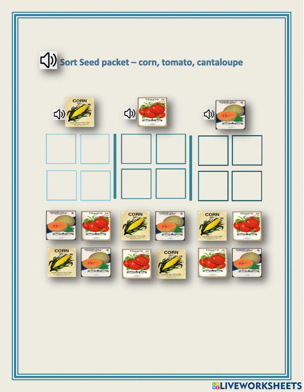 Sort object - corn, tomato, cantaloupe - 1.04 - LN