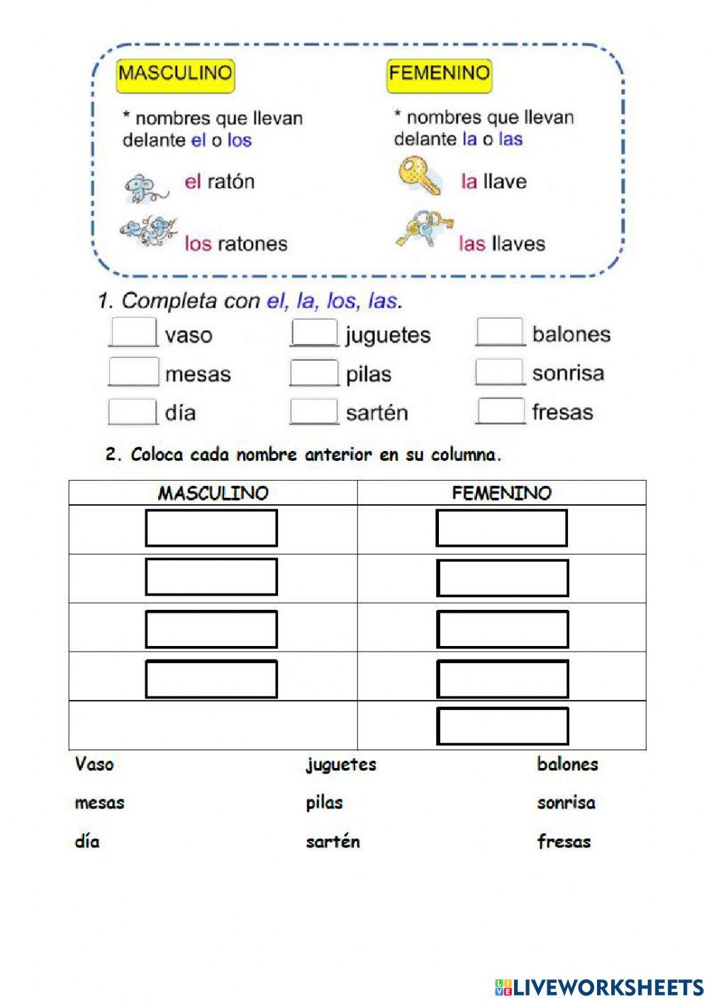 Masculino y femenino 1º