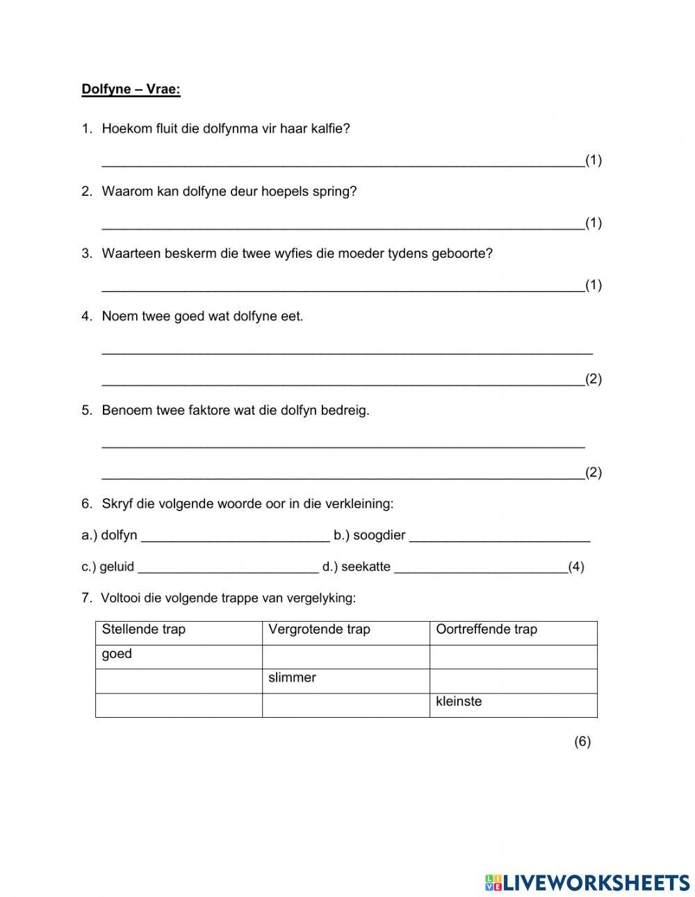 Begrips lees Dolfyne