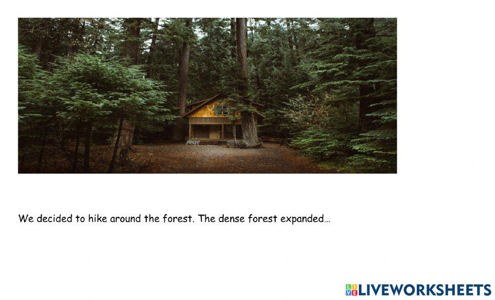 Describe the Forest