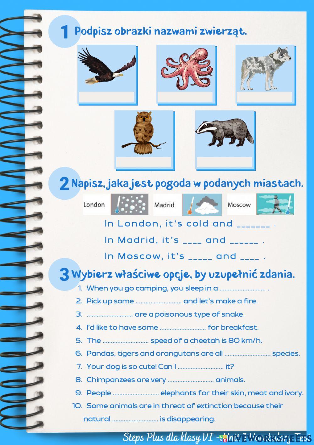 Klasa 6 Unit 3 Vocabulary Test