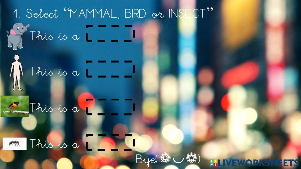 Mammals Insects and Birds