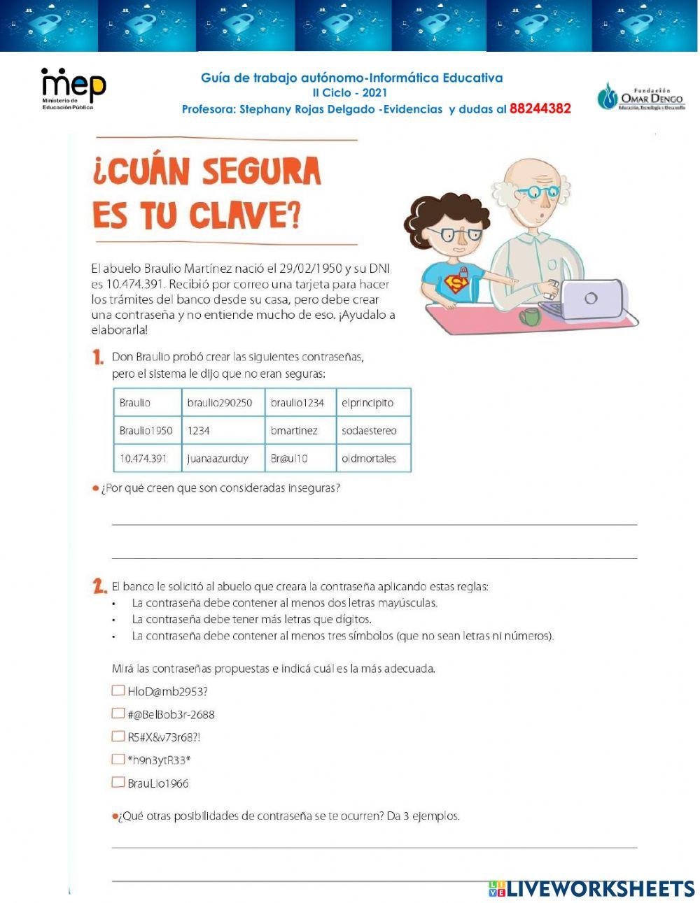 Ciber seguridad