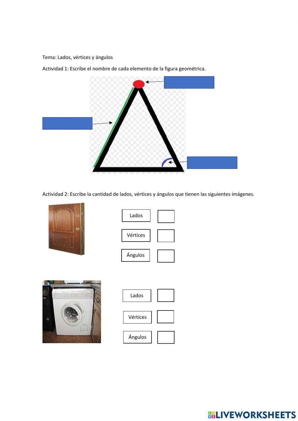 Líneas rectas y curvas