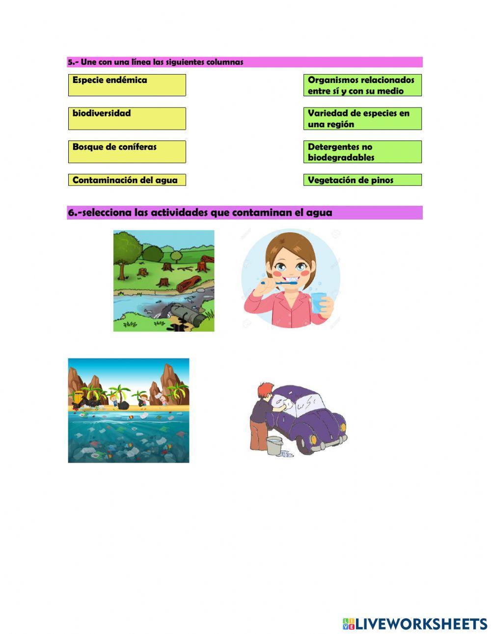 Ciencias quinto grado