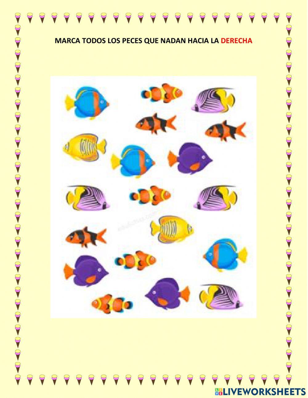 Derecha Izquierda 15