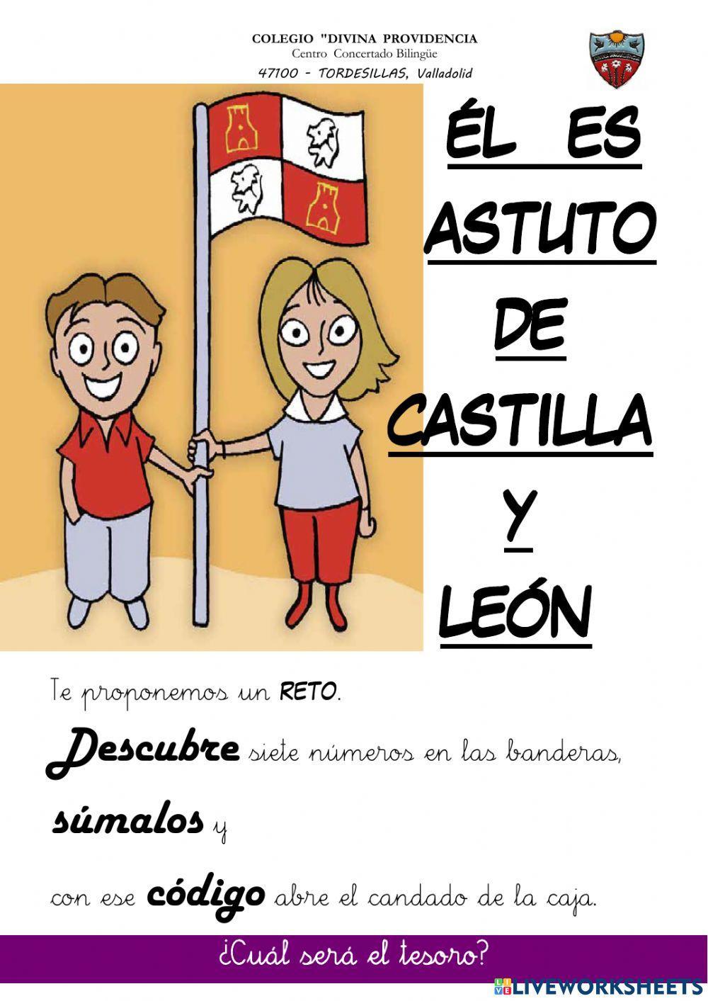 Castilla y león: estatuto