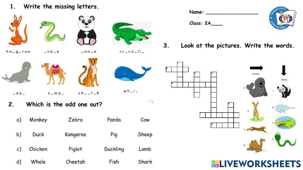 Grade 2 Wild Animals