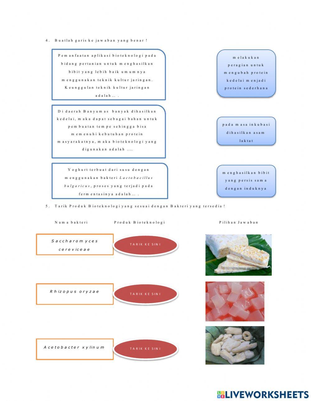 LKPD-Bioteknolologi-Oktaviani