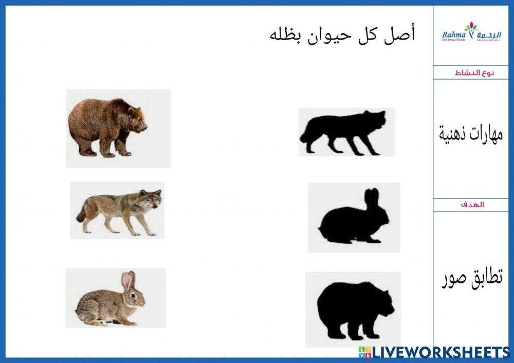 مهارات ذهنية