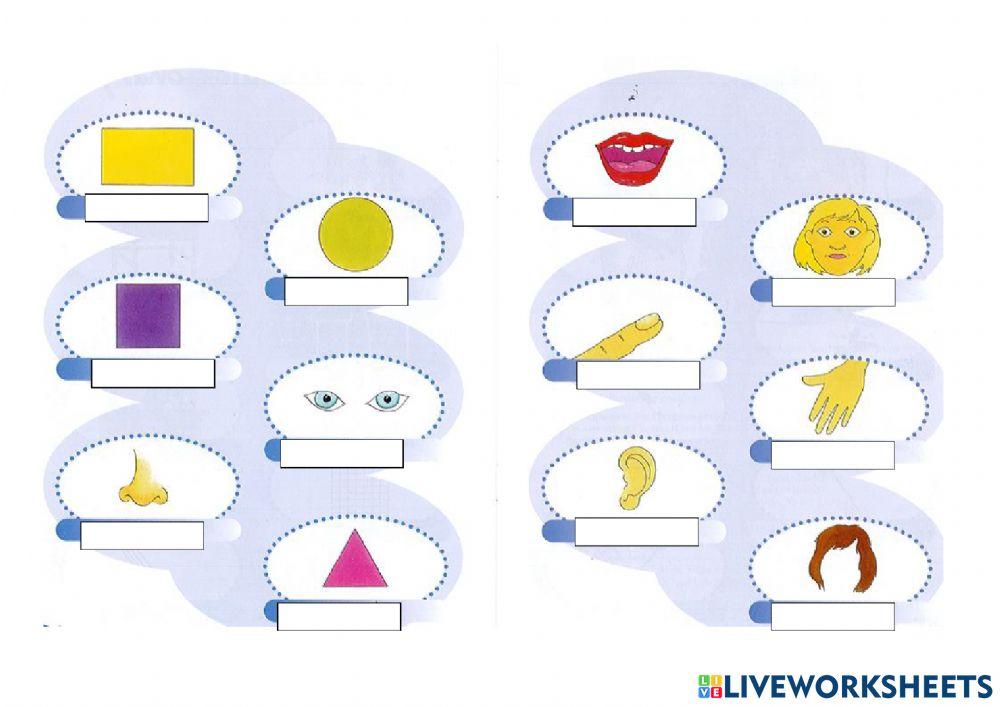 The desk genie vocabulary