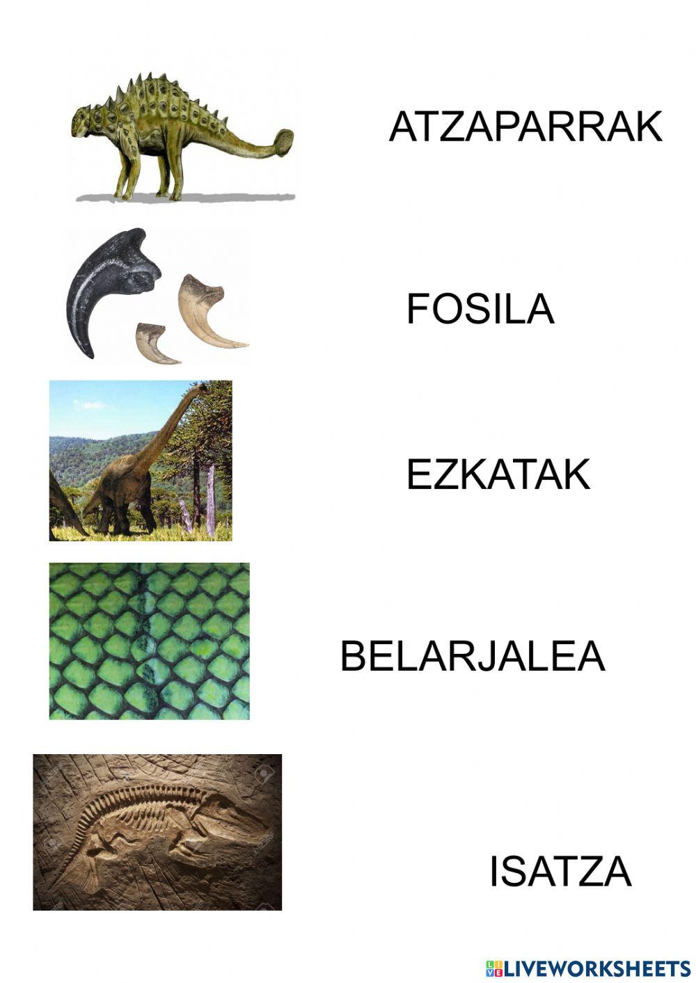 Dino hiztegia lotu