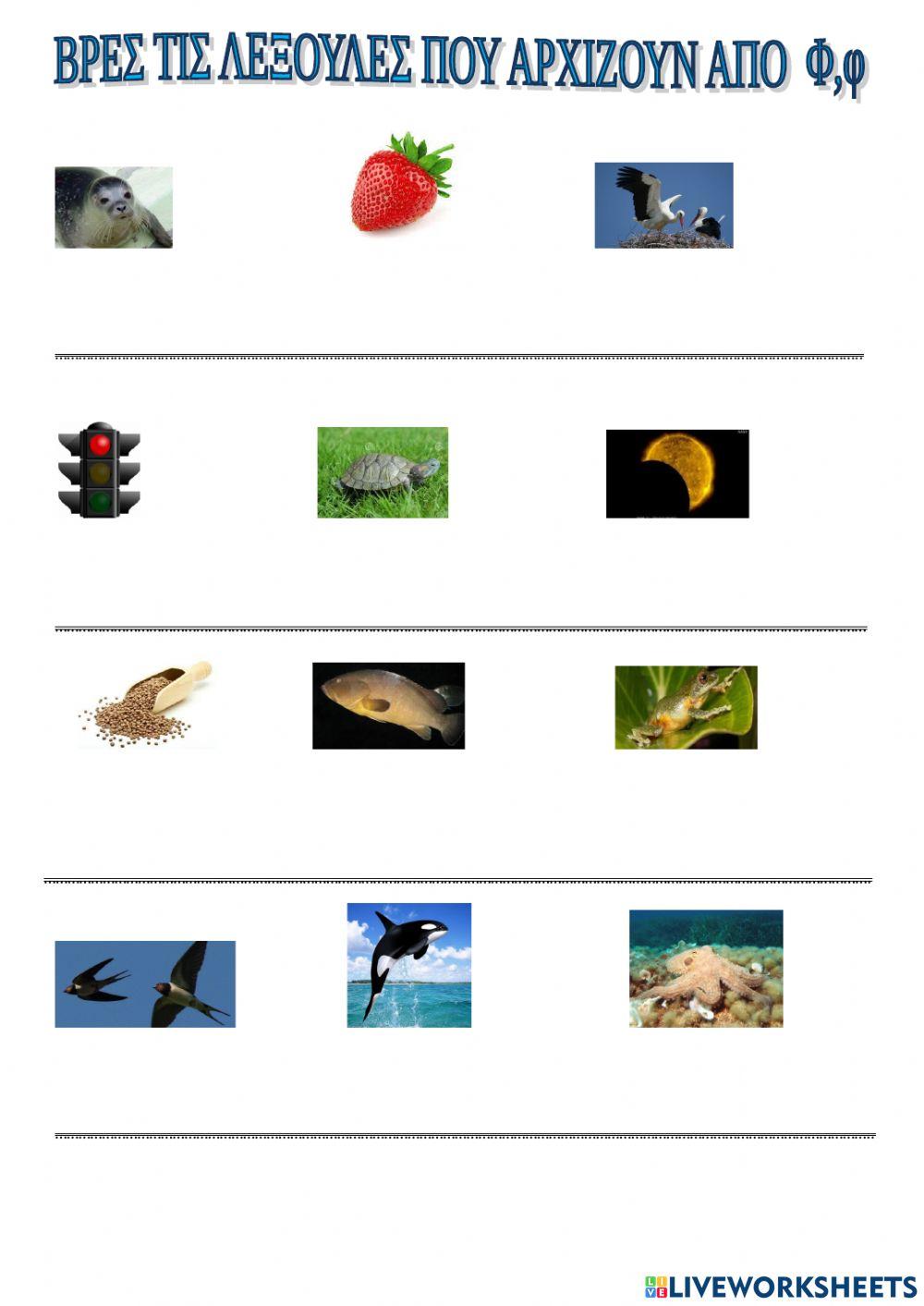 ΒΡΙΣΚΩ ΤΙΣ ΛΕΞΟΥΛΕΣ ΠΟΥ ΑΡΧΙΖΟΥΝ ΑΠΟ Φ,φ