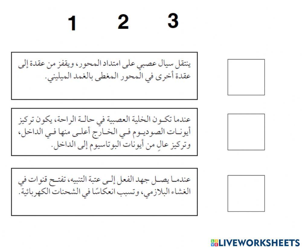 السيال العصبي