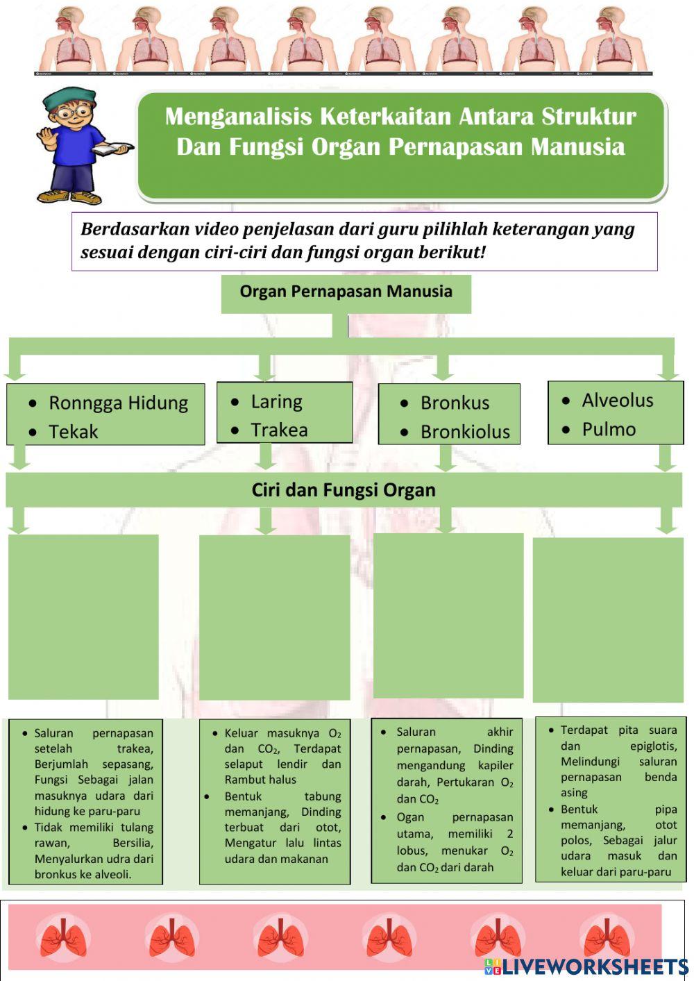 LKPD Sains Sistem Pernapasan