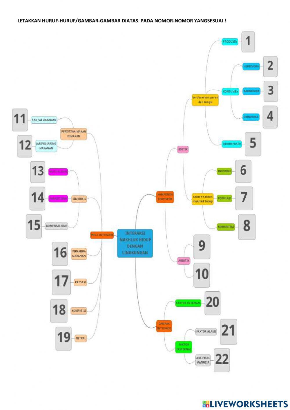 Interaksi makhluk hidup