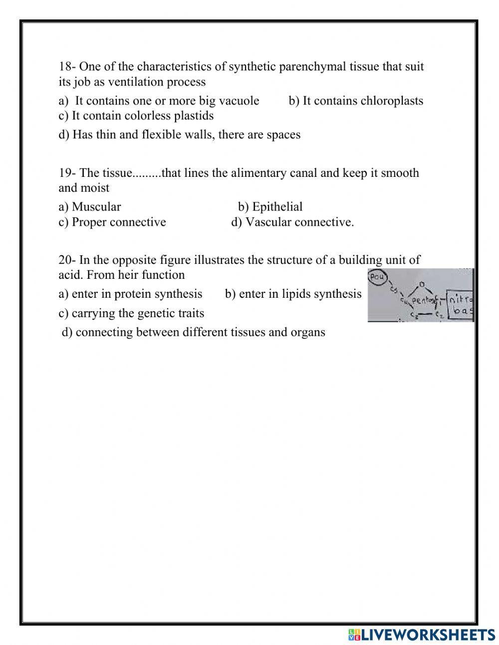 Biology Sec.1 1st term exam 2020