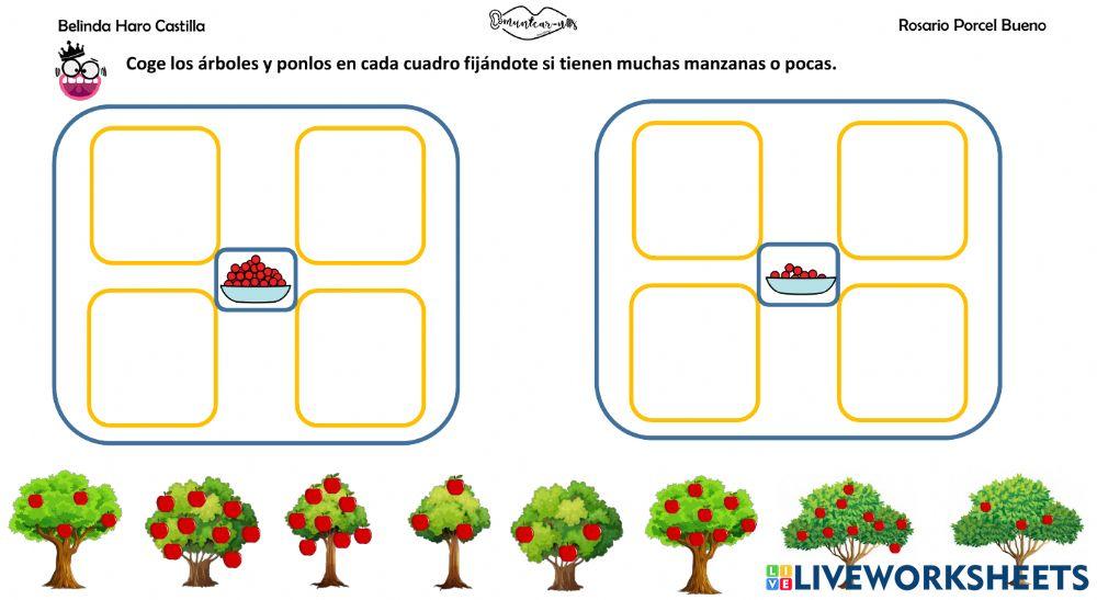 Conceptos básicos: mucho-poco