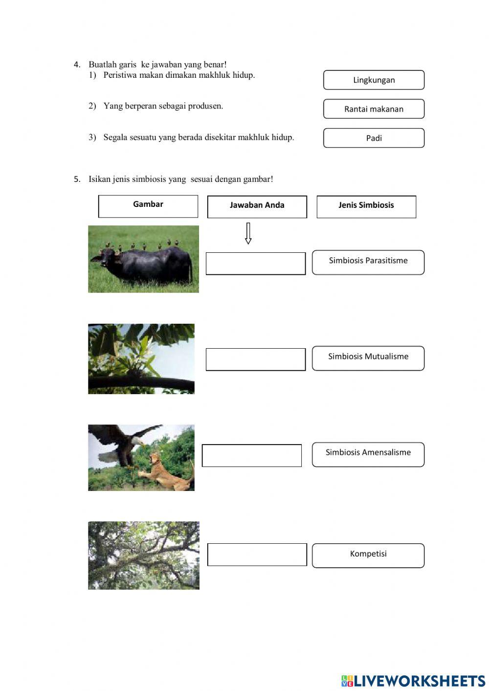 Interaksi Makhluk Hidup dan Lingkungannya