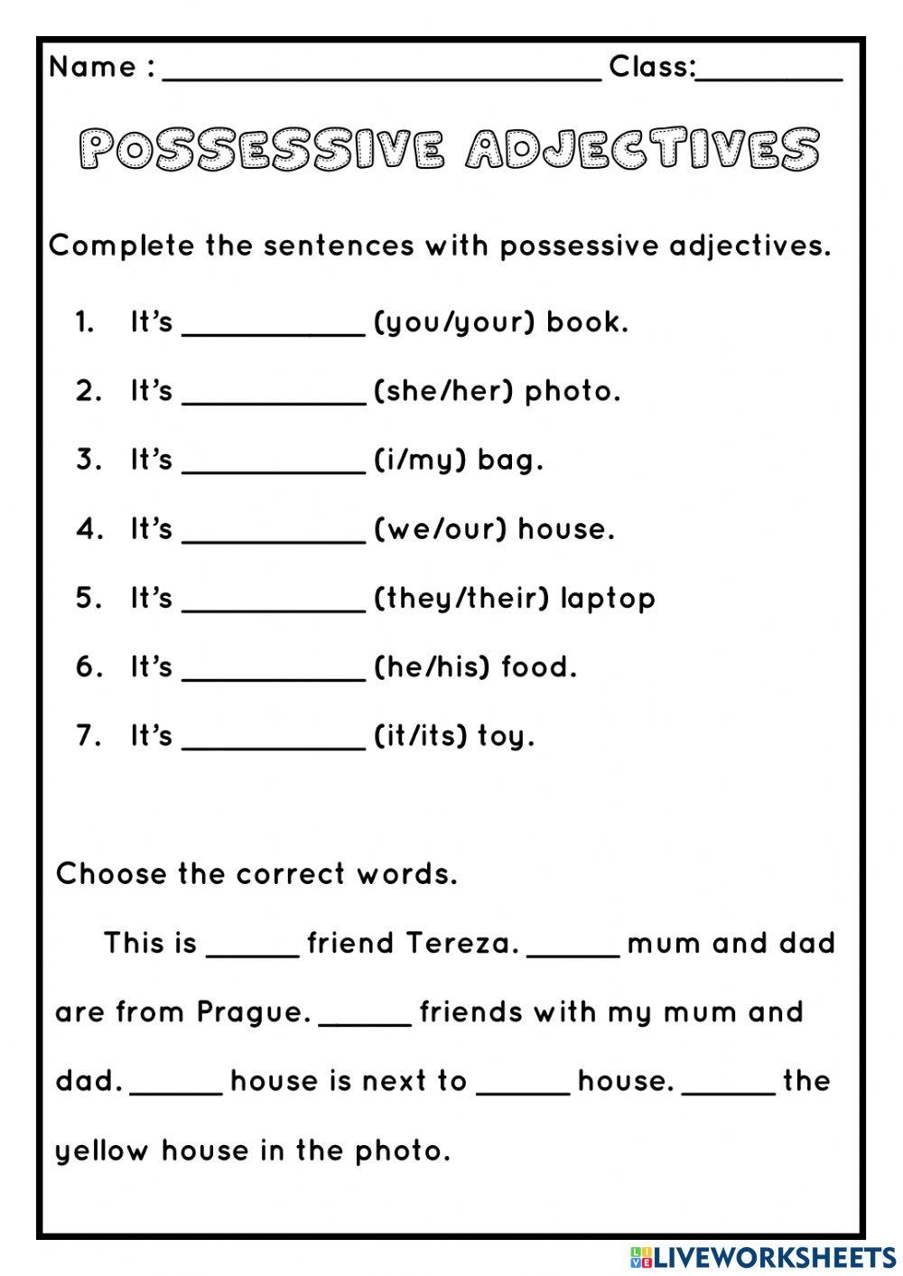 Possessive Adjectives