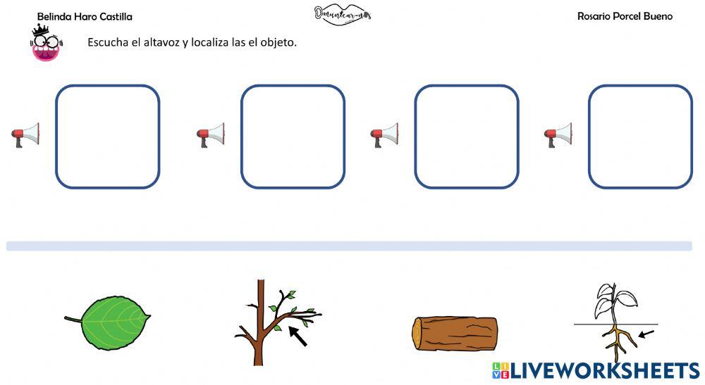 Vocabulario: partes de la planta