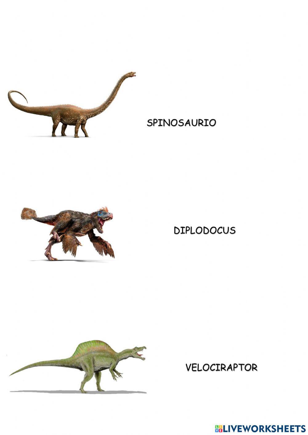 Relaciona cada dinosaurio con su nombre
