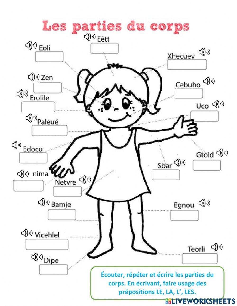 Les parties du corps interactive worksheet for media | Live Worksheets