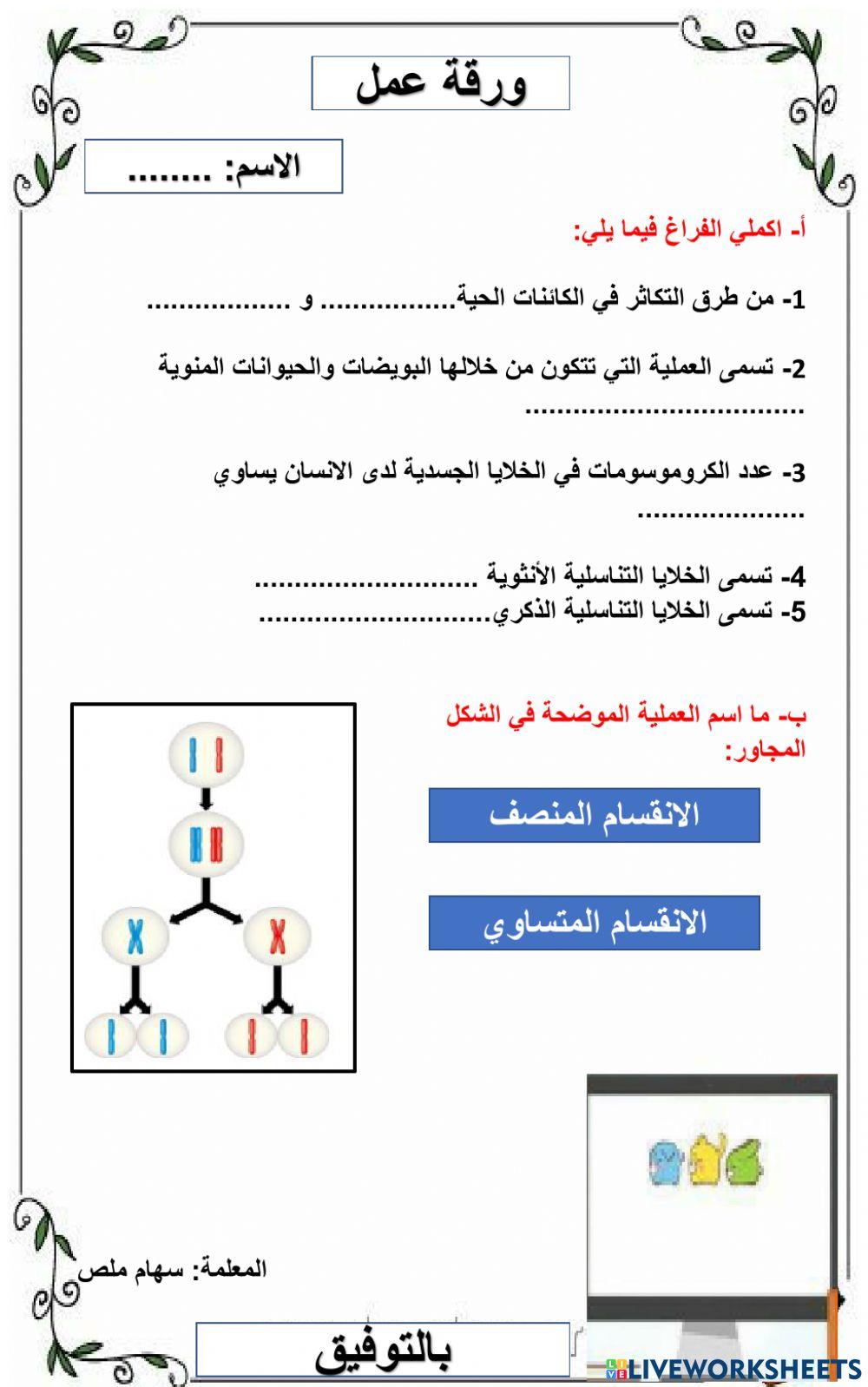 الانقسام المنصف ثامن