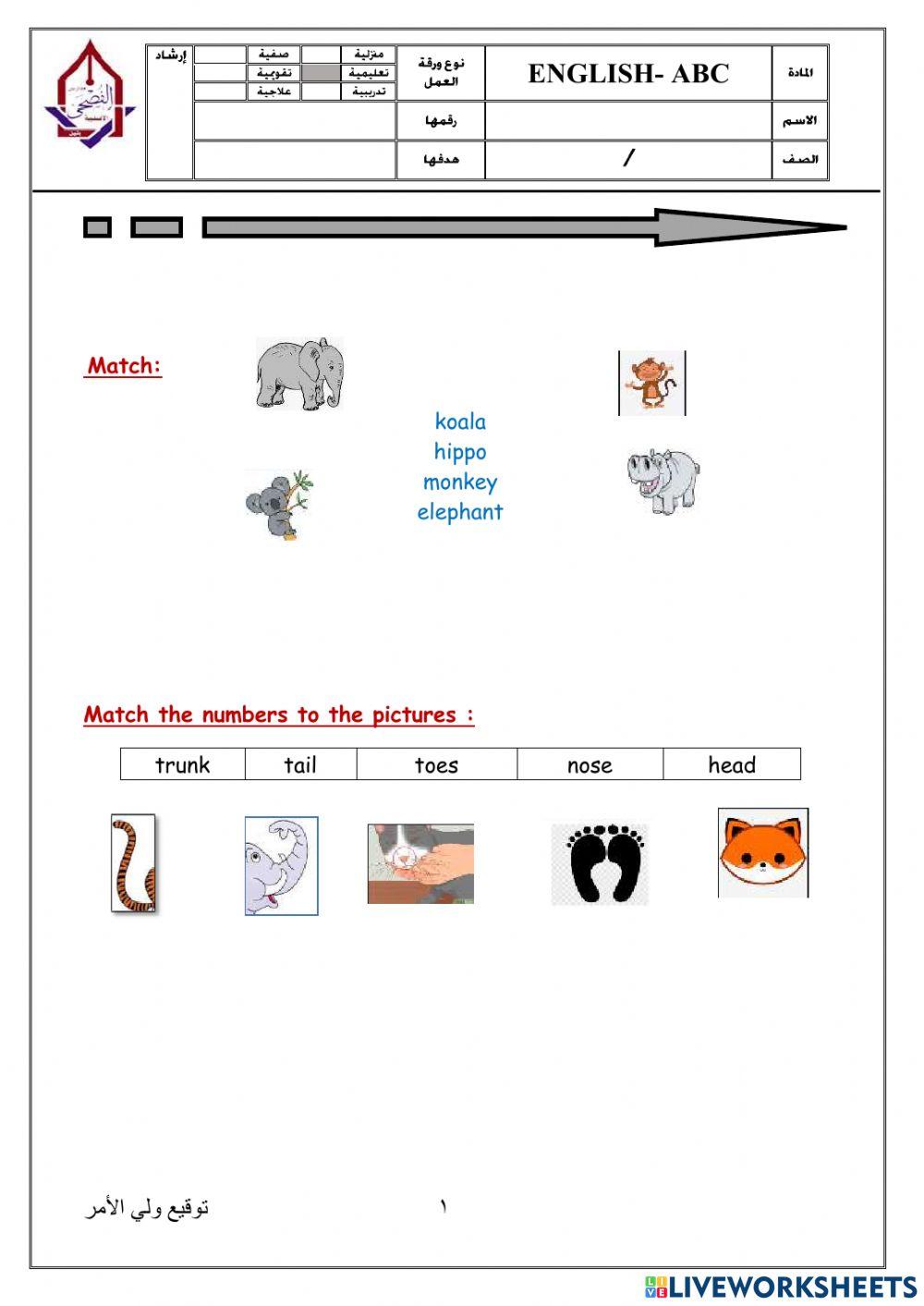 Parts of the body for animals