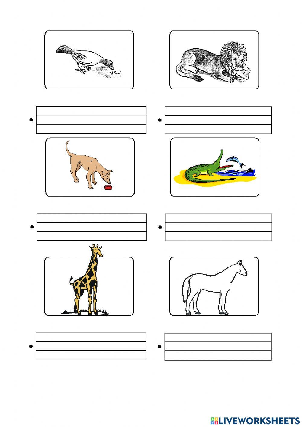 Animales alimentacion