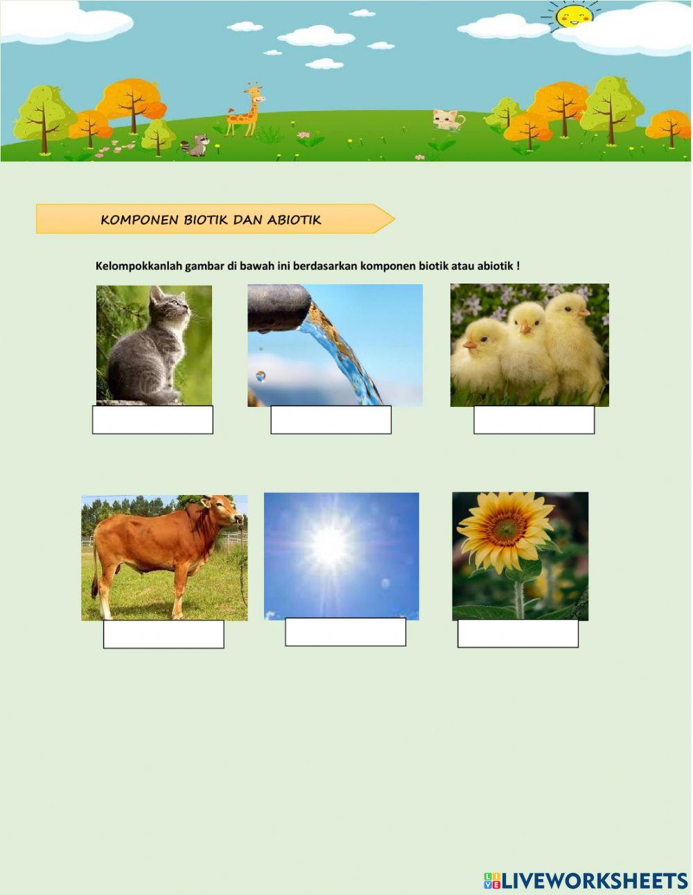 Pola Interaksi Mahluk Hidup edit