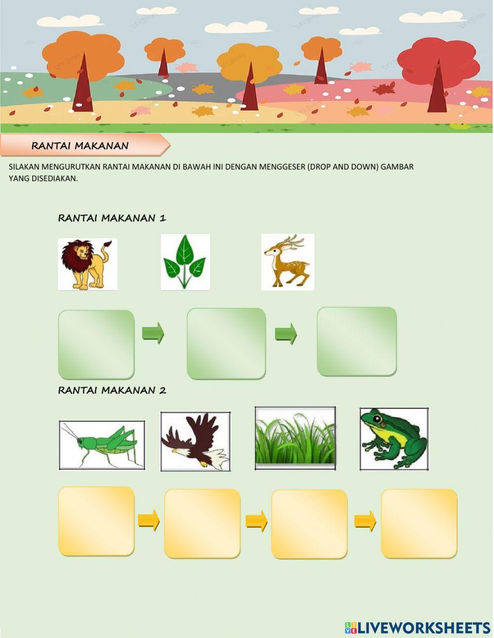 Pola Interaksi Mahluk Hidup edit