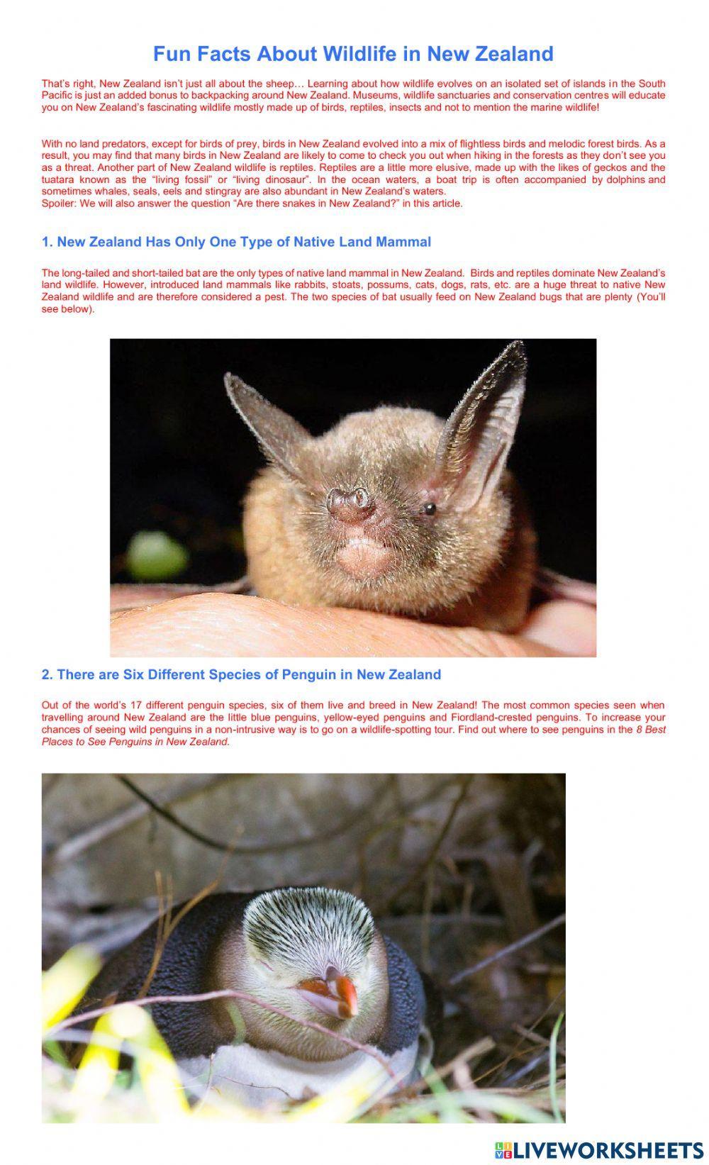 Ten Fun Facts About Wildlife in New Zealand